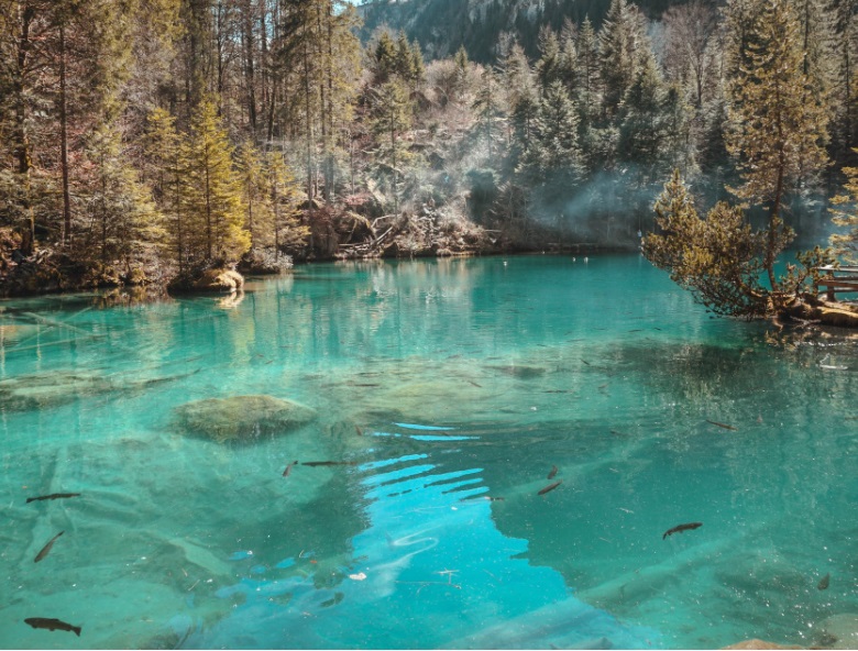 1652844057805461.jpg 4.jpg