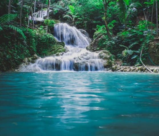 1657937430642576.jpg 5.jpg